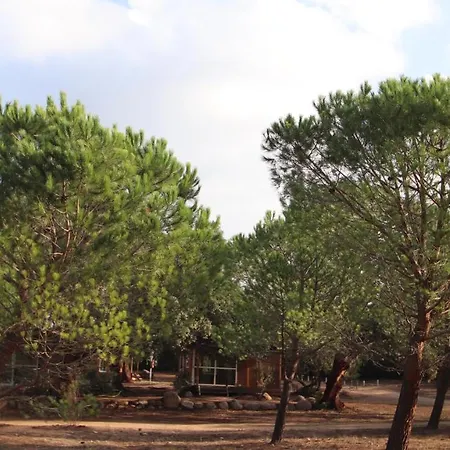 Petra Legna - Résidence Les Jardins Du Golfe Chalet *
