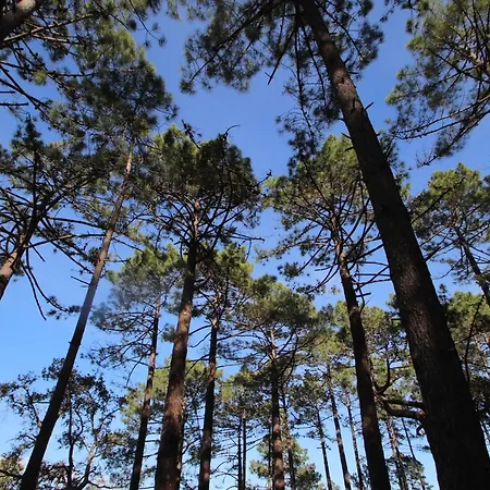 Petralegna Porto Vecchio