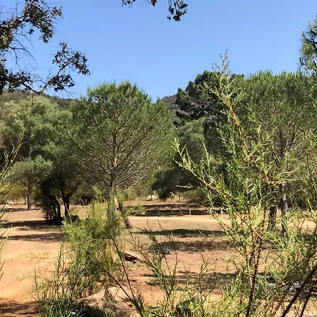 Petra Legna - Résidence Les Jardins Du Golfe Chalet Porto-Vecchio (Corsica)