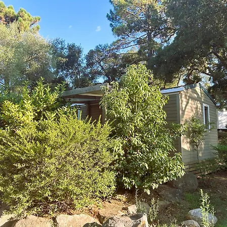 Chalet Petra Legna - Résidence Les Jardins Du Golfe Porto-Vecchio (Corsica)