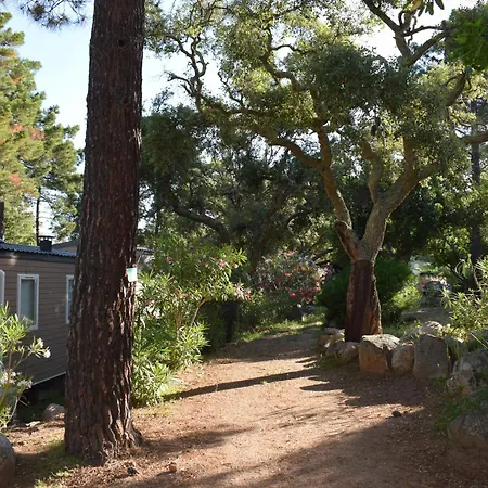 Petra Legna - Résidence Les Jardins Du Golfe Porto-Vecchio (Corsica)