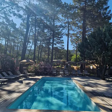 Petra Legna - Résidence Les Jardins Du Golfe Porto-Vecchio (Corsica)
