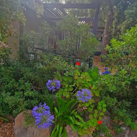 Petra Legna - Résidence Les Jardins Du Golfe * Porto-Vecchio (Corsica)