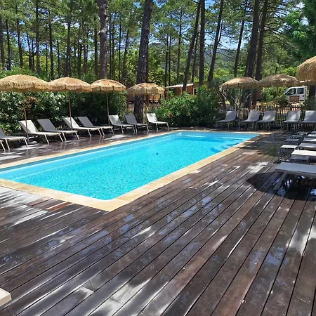 Petra Legna - Résidence Les Jardins Du Golfe Porto-Vecchio (Corsica)