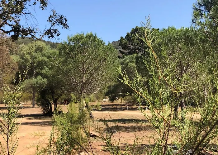 Petralegna Chalet Porto Vecchio