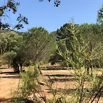Petralegna Alpesi faház Porto-Vecchio