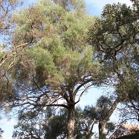 Chalé Petralegna