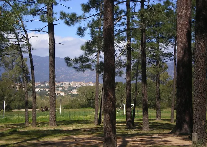 Alpehytte Petralegna *