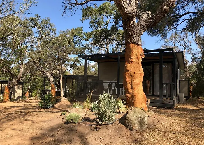 Petralegna Alpehytte *